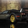 Mansory-Bugatti-Veyron-dOro-11.JPG