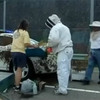 蜜蜂に好かれてしまったパトカー？！