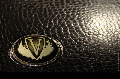 Vipon-Leather-BMW-emblem.jpg